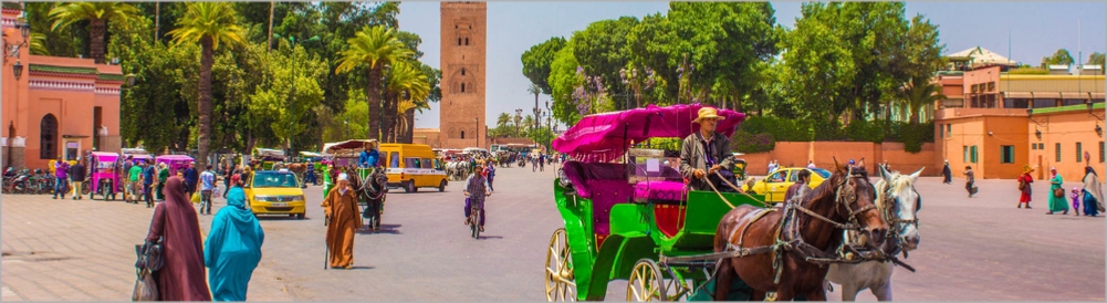 Activities in Morocco