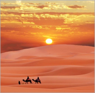 Combined Atlas & Merzouga Tour 5 Days