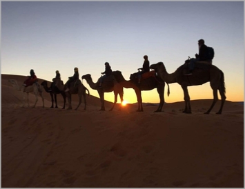 Activities in Sahara desert