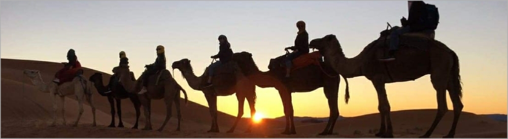 Activities in Sahara desert