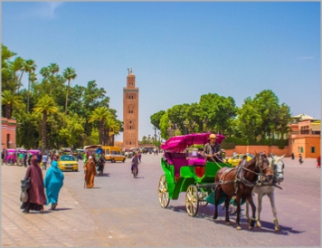 Activities in Marrakech
