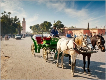 Marrakech Horse Drawn Carriage Ride