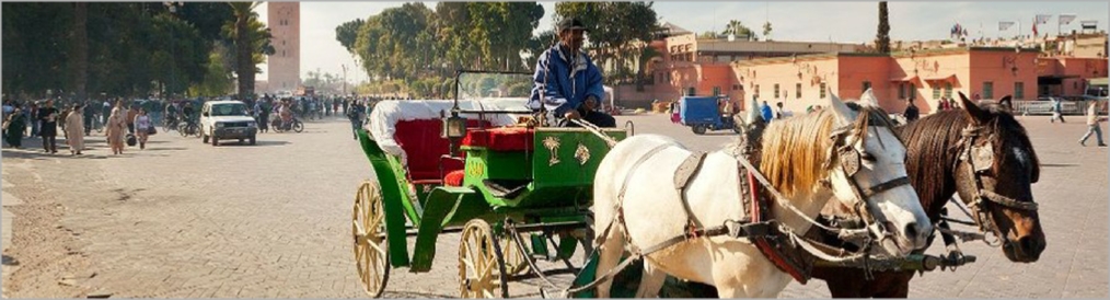 Marrakech Horse Drawn Carriage Ride