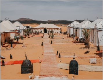 Activities in Sahara desert