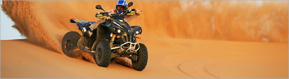 Activities in Sahara desert