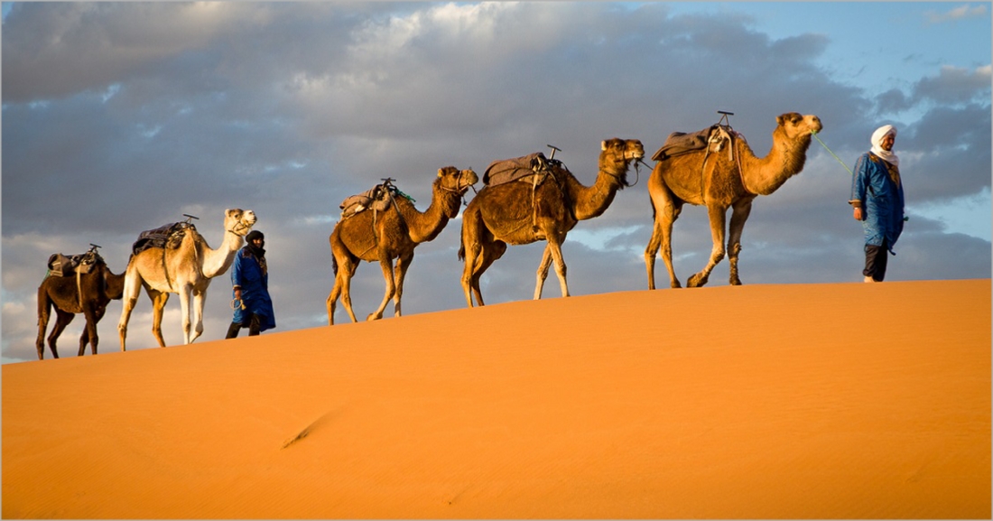 Tour from Casablanca