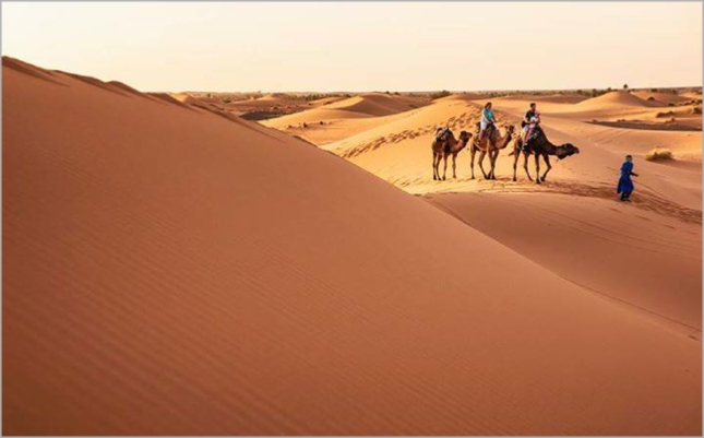 Tour from Marrakech