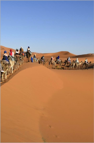 Tours from Marrakech