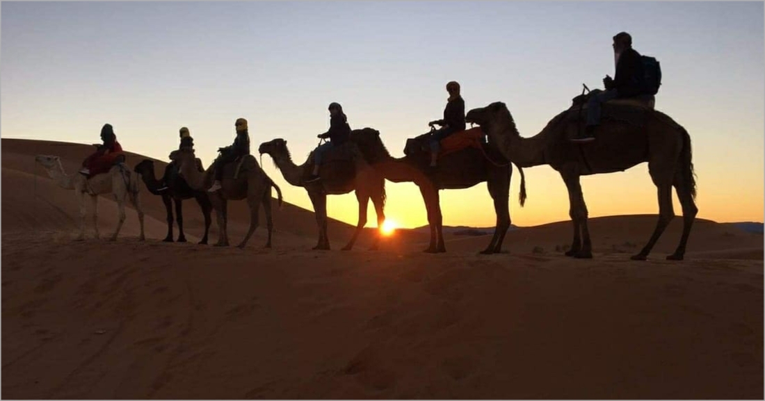 Tour from Marrakech