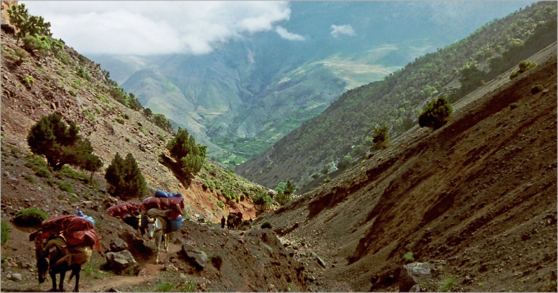 Toubkal Treks