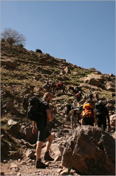 Toubkal Treks