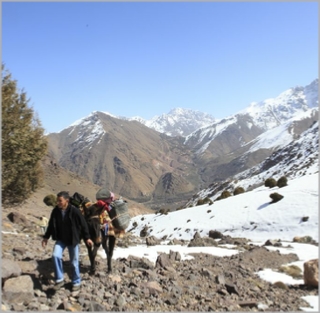 Toubkal Treks